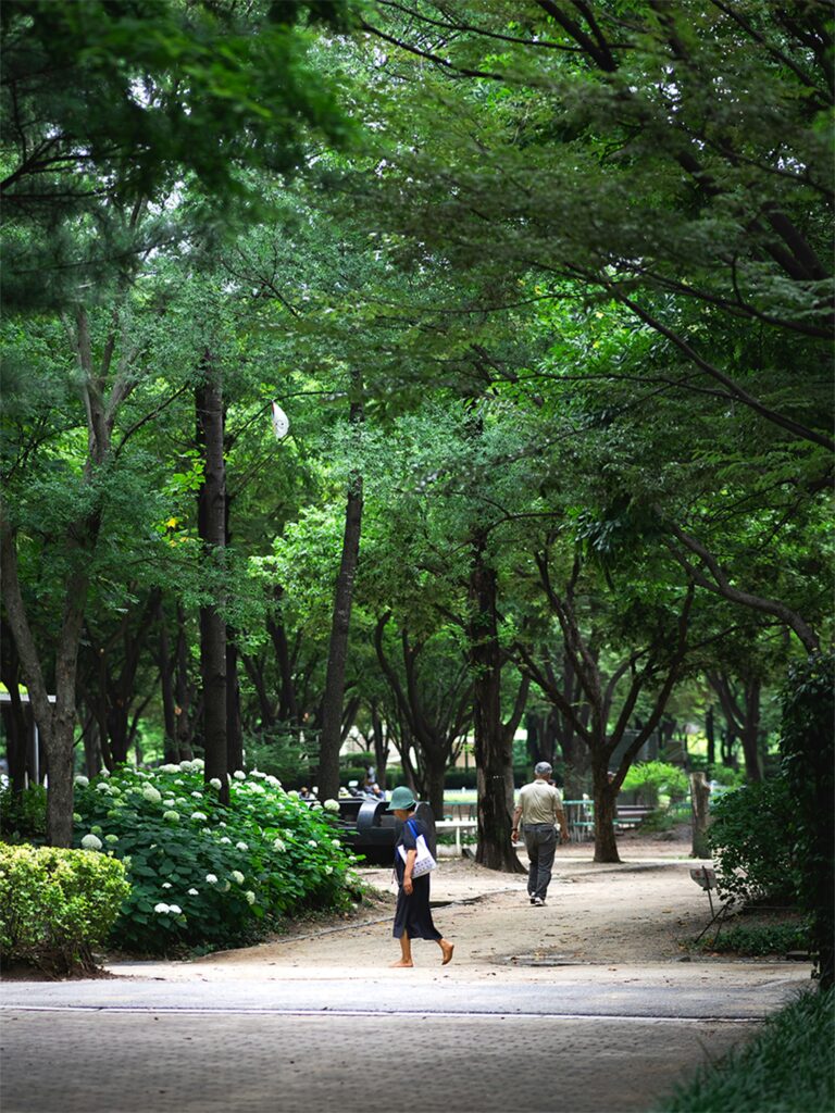 A lady walking through the park in Seoul in summer.